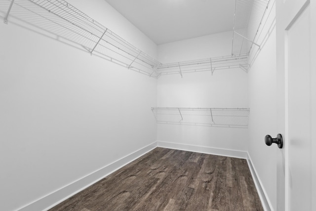 15 Aurora Cir, Fayetteville, TN 37334 - walk in closet with dark wood finished floors
