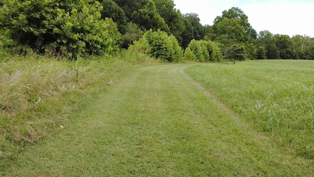 920 E Piney Rd, Dickson, TN 37055 - photo 21