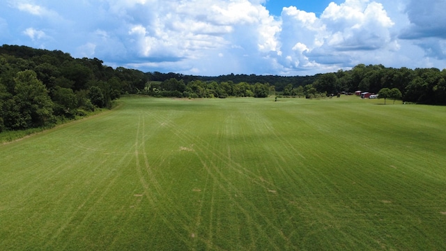920 E Piney Rd, Dickson, TN 37055 - photo 57