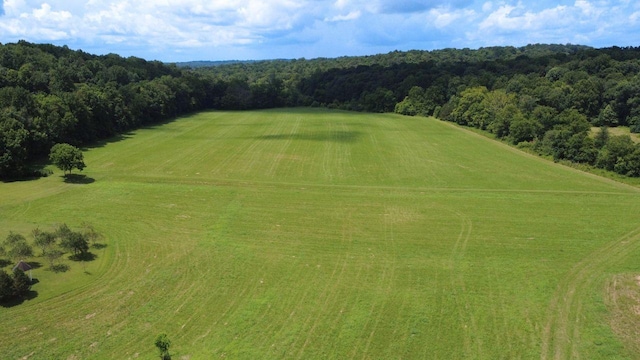 920 E Piney Rd, Dickson, TN 37055 - photo 12