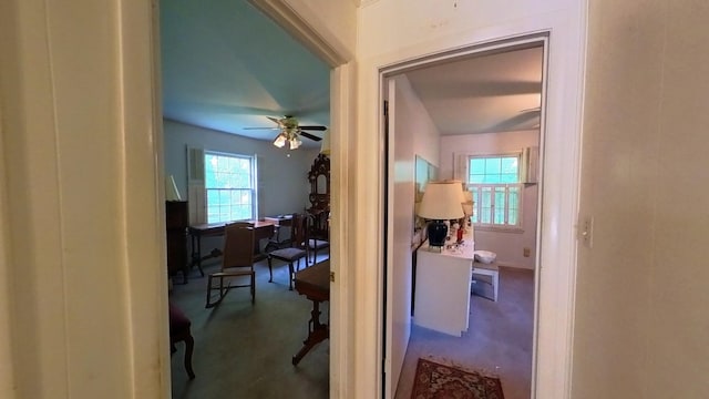 204 Fisher Ave, Carthage, TN 37030 - corridor with carpet floors
