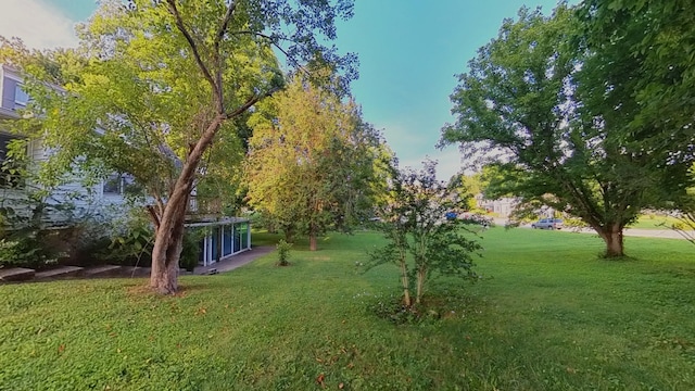204 Fisher Ave, Carthage, TN 37030 - view of grassy yard