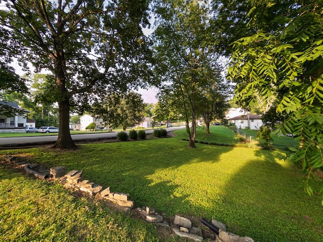 204 Fisher Ave, Carthage, TN 37030 - view of green lawn