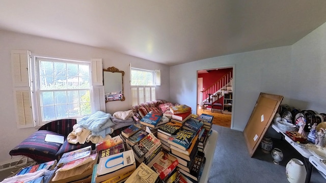 204 Fisher Ave, Carthage, TN 37030 - carpeted living area featuring vaulted ceiling