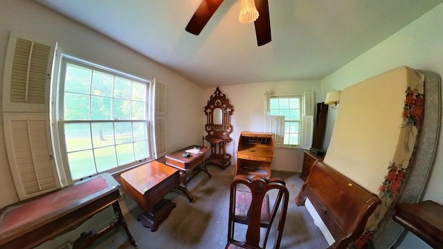 204 Fisher Ave, Carthage, TN 37030 - office with ceiling fan and carpet flooring