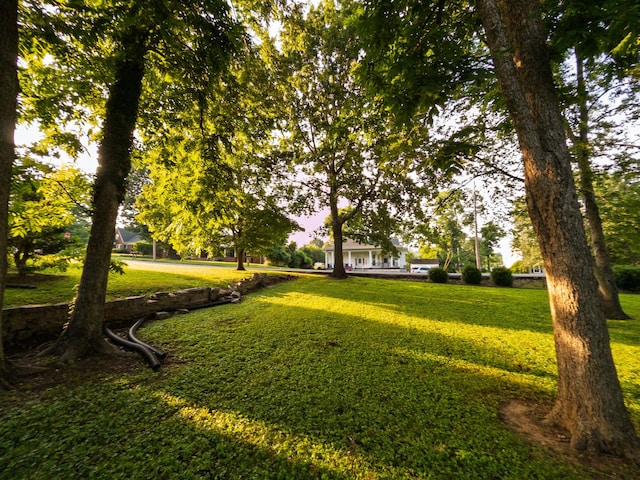 204 Fisher Ave, Carthage, TN 37030 - view of green lawn