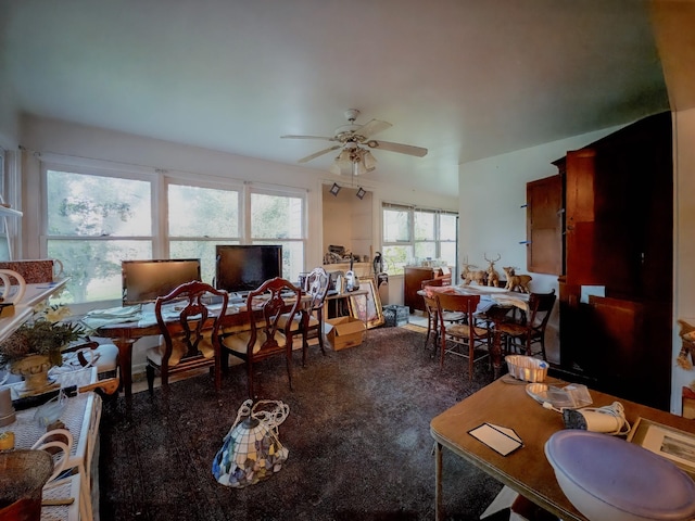 204 Fisher Ave, Carthage, TN 37030 - living area with a ceiling fan