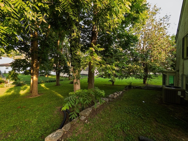 204 Fisher Ave, Carthage, TN 37030 - view of grassy yard