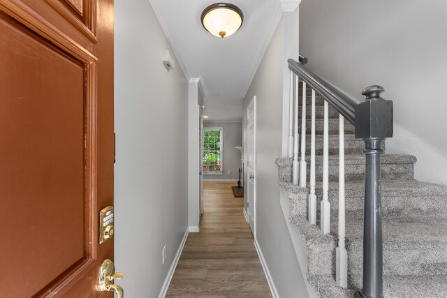 2312 18th Ave S, Nashville, TN 37212 - photo 5