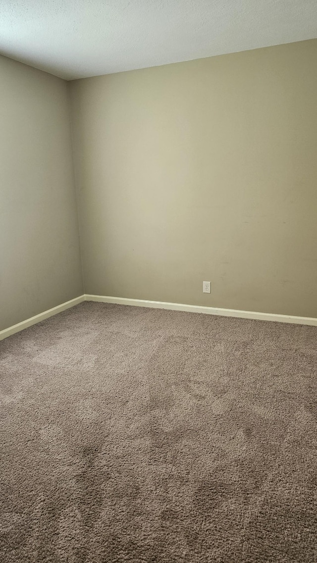 1949 Timberline Cir, Oak Grove, KY 42262 - empty room featuring carpet floors and baseboards