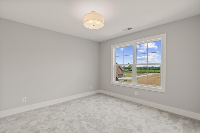 482 Greenfield Ln, Castalian Springs, TN 37031 - photo 51