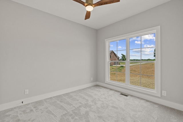 482 Greenfield Ln, Castalian Springs, TN 37031 - photo 47