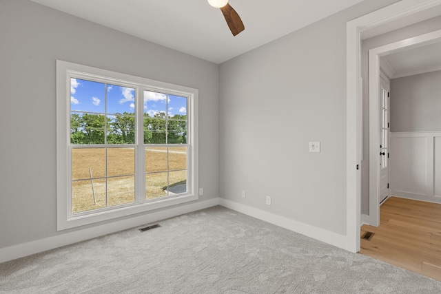 482 Greenfield Ln, Castalian Springs, TN 37031 - photo 48