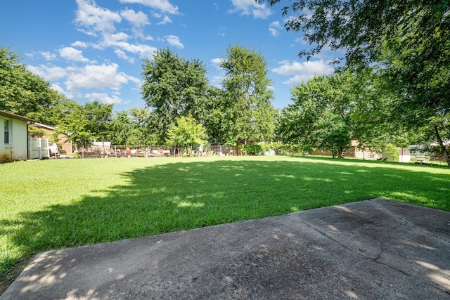 517 Jewel Dr, Clarksville, TN 37042 - photo 22