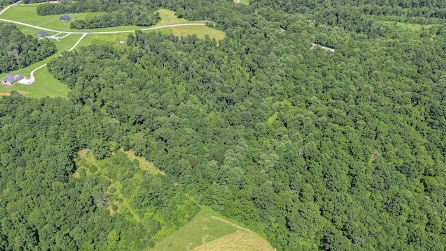 0 Chestnut Grove Rd, Pulaski, TN 38478