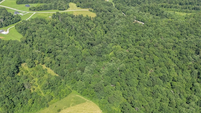0 Chestnut Grove Rd, Pulaski, TN 38478