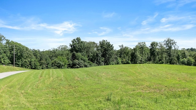 0 Chestnut Grove Rd, Pulaski, TN 38478