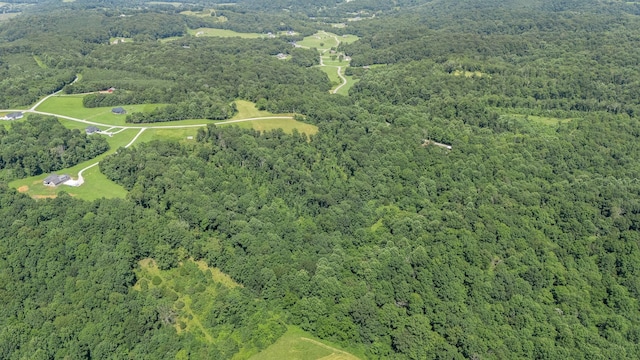 0 Chestnut Grove Rd, Pulaski, TN 38478