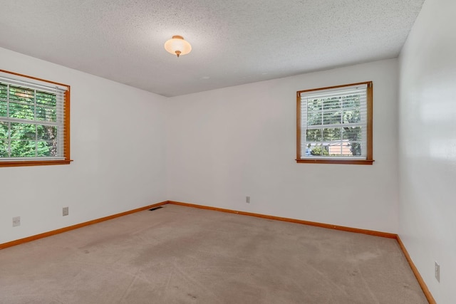 807 Dry Creek Rd, Goodlettsville, TN 37072 - photo 29