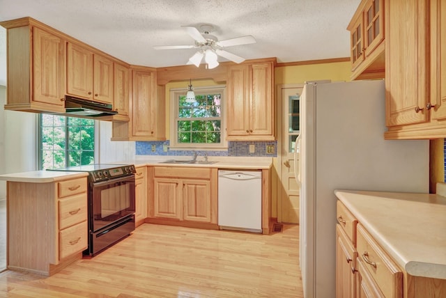807 Dry Creek Rd, Goodlettsville, TN 37072 - photo 20