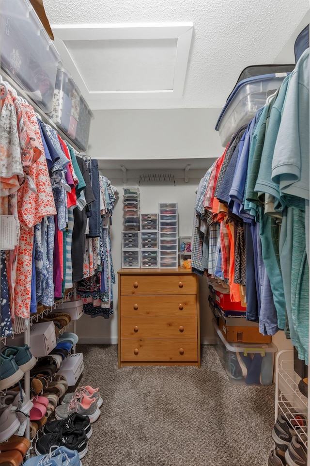 109 Saint Margarett Cir, Columbia, TN 38401 - walk in closet featuring carpet floors and attic access