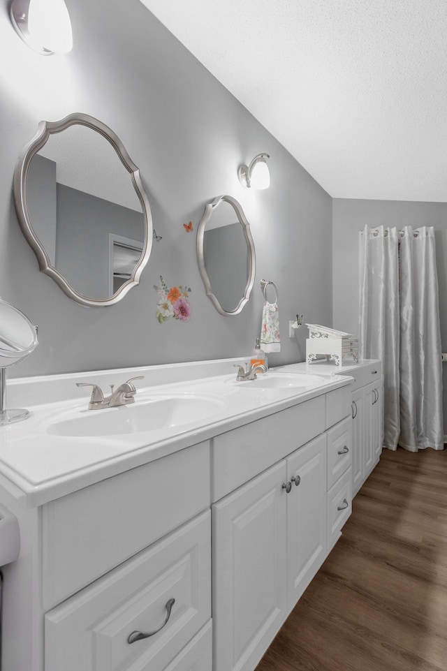 109 Saint Margarett Cir, Columbia, TN 38401 - bathroom featuring double vanity, wood finished floors, and lofted ceiling