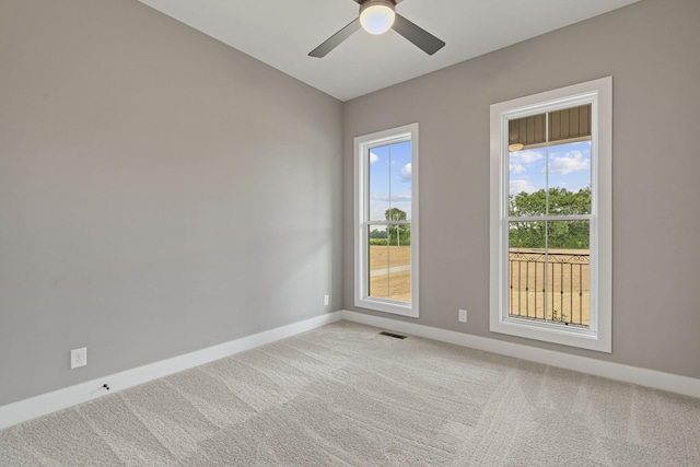 488 Greenfield Ln, Castalian Springs, TN 37031 - photo 40