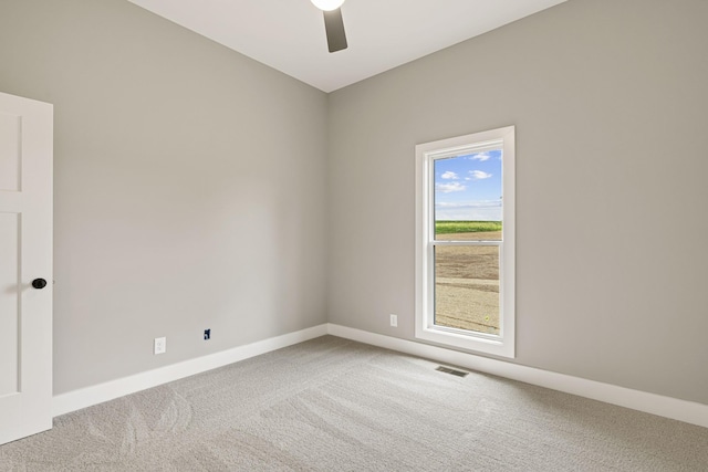 488 Greenfield Ln, Castalian Springs, TN 37031 - photo 44