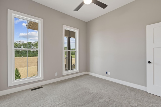 488 Greenfield Ln, Castalian Springs, TN 37031 - photo 41