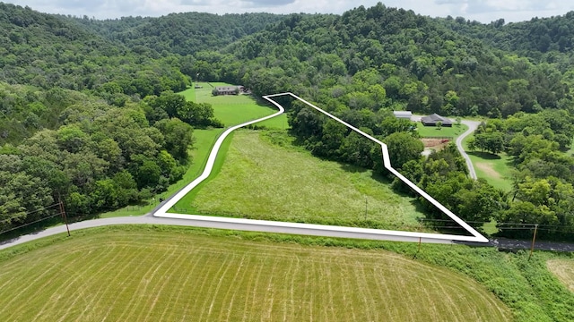 0 Happy Valley Rd, Bell Buckle, TN 37020 - photo 17