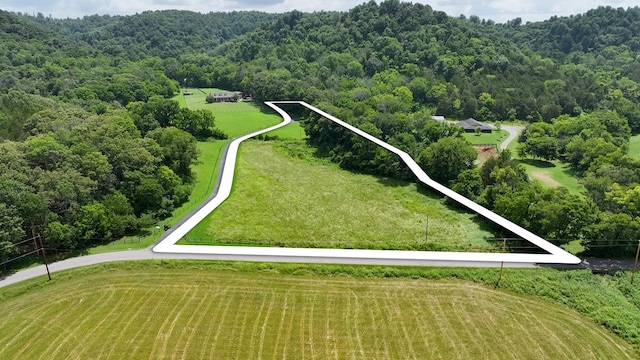 0 Happy Valley Rd, Bell Buckle, TN 37020 - photo 19