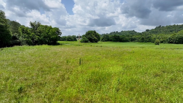 0 Happy Valley Rd, Bell Buckle, TN 37020 - photo 14