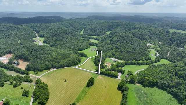 0 Happy Valley Rd, Bell Buckle, TN 37020 - photo 12