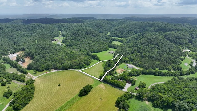 0 Happy Valley Rd, Bell Buckle, TN 37020 - photo 26