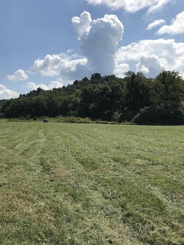 0 Happy Valley Rd, Bell Buckle, TN 37020 - photo 11