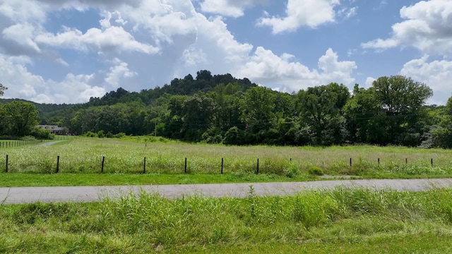 0 Happy Valley Rd, Bell Buckle, TN 37020 - photo 18