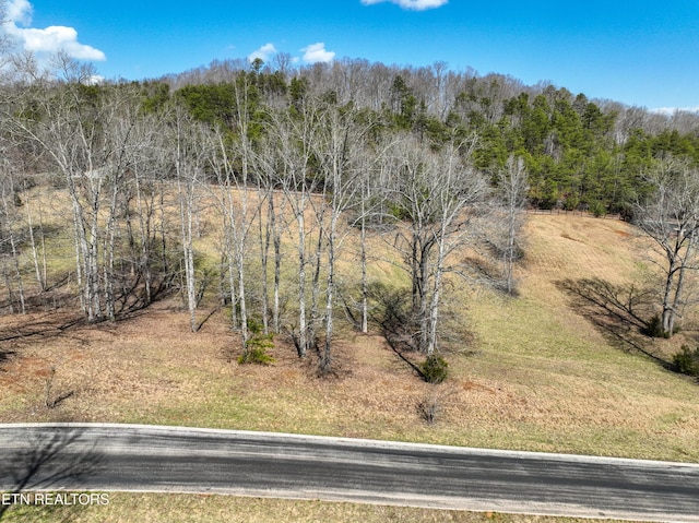 0 Springwater Run, Madisonville, TN 37354 - photo 6