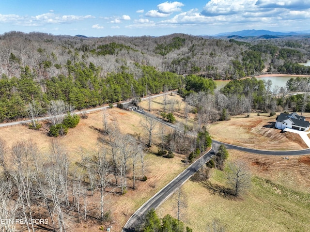 0 Springwater Run, Madisonville, TN 37354 - photo 8