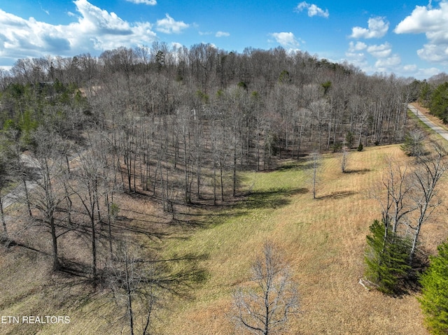 0 Springwater Run, Madisonville, TN 37354 - photo 17
