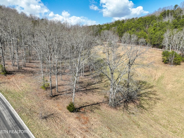 0 Springwater Run, Madisonville, TN 37354 - photo 2