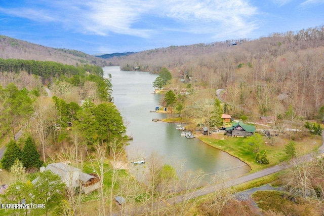 157 Laurel Lake Cir, Madisonville, TN 37354 - photo 8
