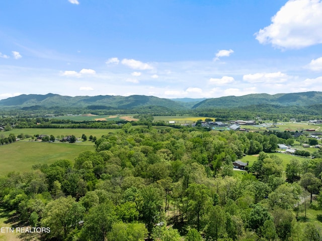 3756 Andrew Boyd Dr, Maryville, TN 37804 - photo 51