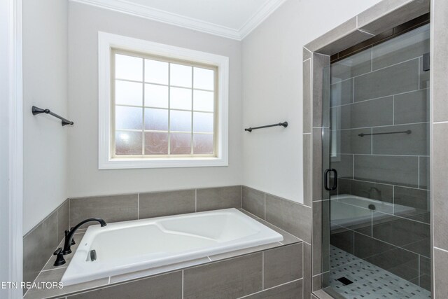 1536 Tsuga Dr, Alcoa, TN 37701 - photo 22