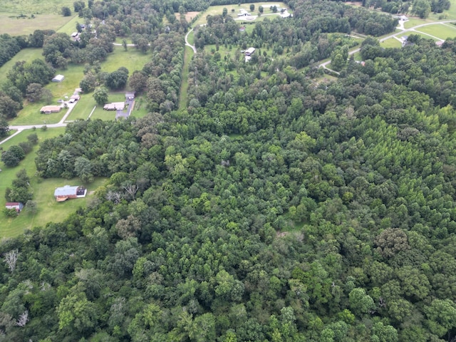 0 Newt Vanattia Rd, Hillsboro, TN 37342 - photo 6