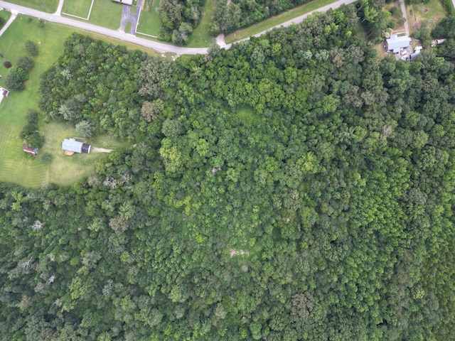0 Newt Vanattia Rd, Hillsboro, TN 37342 - photo 8