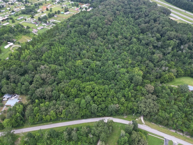 0 Newt Vanattia Rd, Hillsboro, TN 37342 - photo 4