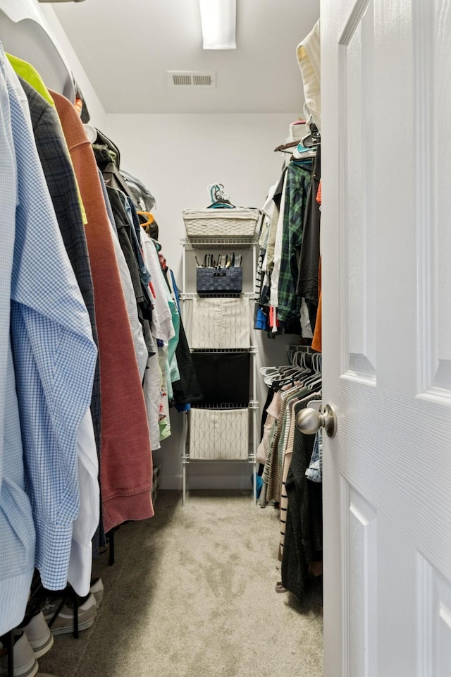 163 Bland Dr, Mount Juliet, TN 37122 - walk in closet with carpet floors