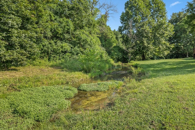 163 Bland Dr, Mount Juliet, TN 37122 - view of undeveloped land