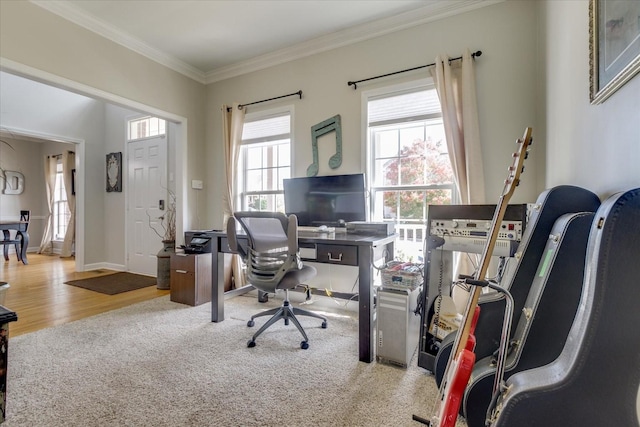 1301 Saybrook Xing, Thompsons Station, TN 37179 - office featuring crown molding and wood finished floors