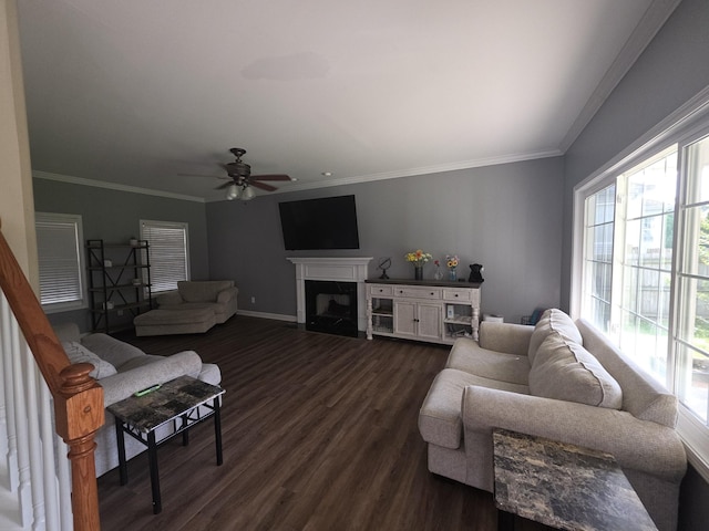 1215 Chapmans Retreat Dr, Spring Hill, TN 37174 - living area with dark wood-style flooring, a ceiling fan, a fireplace, and ornamental molding